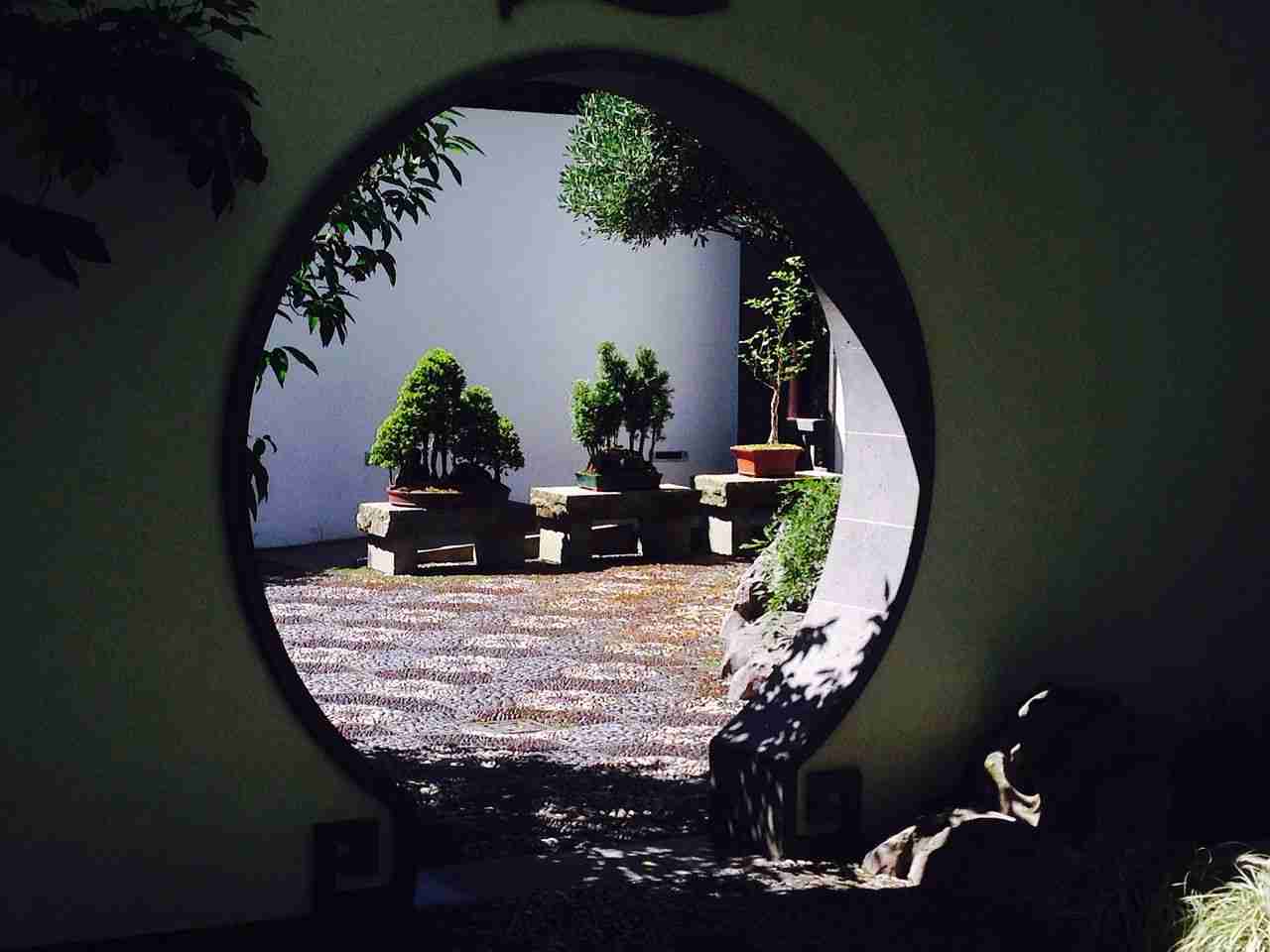 标题:持有XRP的加密交易者